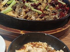 -老板恋上鱼(恒隆广场店)