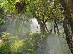 -Chom Cafe and Restaurant