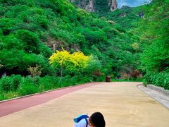 -沕沕水生态风景区