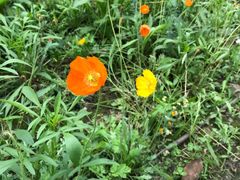 -白鹭湾湿地公园