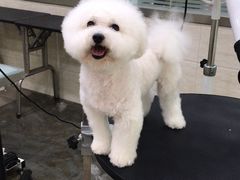 -暖阳宠物医院·犬猫康复中心·骨科