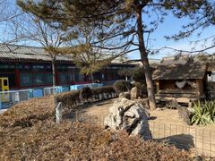 -有喜胶东小馆(太申祥和店)