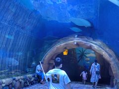 -华夏文旅海洋公园