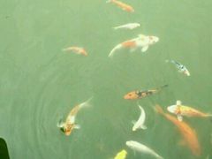 -揭东万竹园旅游景区