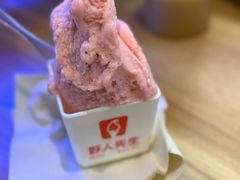 -野人先生现做冰淇淋(北京环宇荟店)