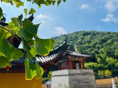 -黄贤森林公园