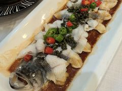 -金粤九号(李公堤店)