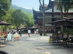 -青城山