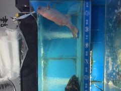 -星记小馆·小蓝龙·老南京砂锅菜(上海路店)