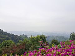-火炉山森林公园