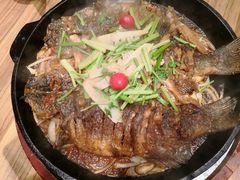 -老板恋上鱼(印象城店)