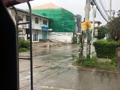 -莓园冰淇淋店