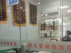 -利又安动物医院··老年病·猫科犬科·中兽医
