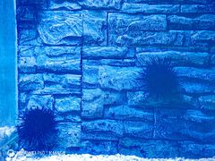 -北戴河圣蓝海洋公园