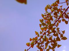 -中山公园