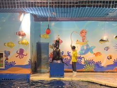 -太平洋海底世界