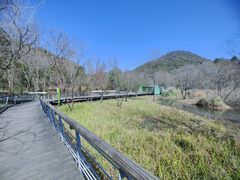 -西湖风景区-江洋畈生态公园