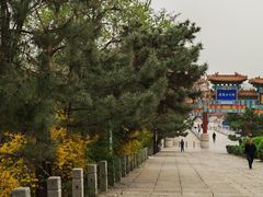 -府君山公园