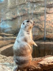 -Zoolung Zoolung动物主题公园(海信广场店)