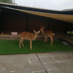 -小蜜蜂农场(凯德七宝购物广场店)