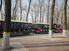 -北京野生动物园