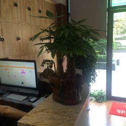 -明洞造型精品烫染