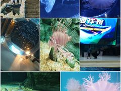 -周口店北京人遗址公园