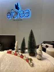 -希尔顿酒店·eforea spa水疗中心