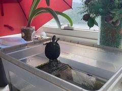 -麦当劳(湖光北街店)