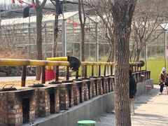 -西部长青自然儿童乐园