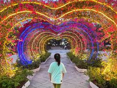 -三亚海昌梦幻海洋不夜城