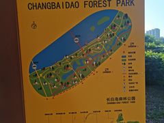 -长白岛森林公园