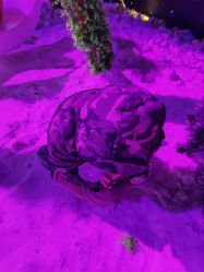 -圣名游乐城冰雪大世界