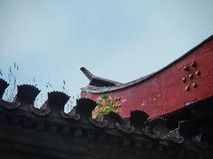 -卢沟桥文化旅游区(卢沟桥)
