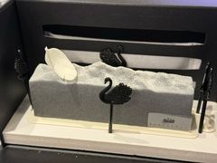 -BLACKSWAN黑天鹅(环球店)