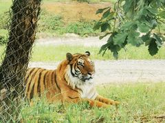 -乐和乐都主题乐园