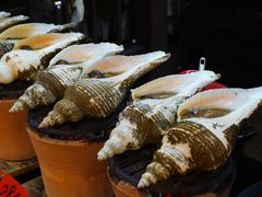 -吴记富苑(朝阳店)