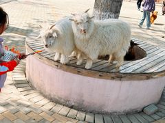 -北戴河集发农业梦想王国