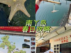 -南丫岛