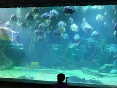 -南昌海洋公园