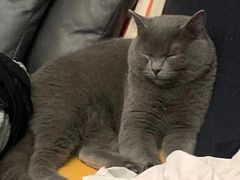 -佳雯宠物医院·皮肤科·内外科(春晓路分院)