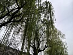 -鸽味轩·粤菜小馆(高楼门总店)