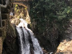-龙湾潭国家森林公园