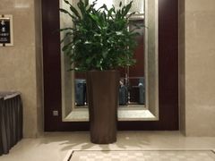 -常州环球恐龙城维景国际大酒店