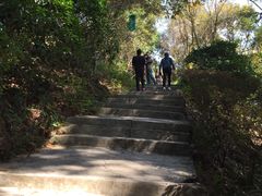 -广州市流溪河国家森林公园
