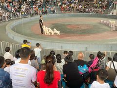 -石家庄市动物园