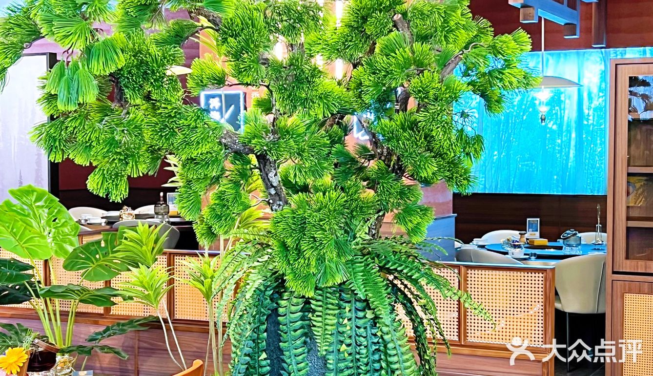 菌彩又在北市区开新店啦 这次这个新店的环境真的太好啦