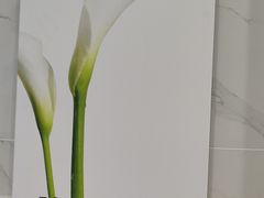 -福奈特洗衣洗鞋(宝华广场店)