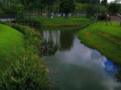 -王借岗森林公园