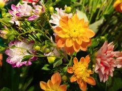 -春暖花开(西溪店)